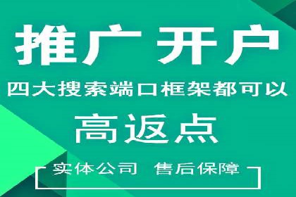 sem竞价托管代运营——广告优化的典范案例